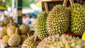 Durian